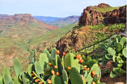 Gran Canaria